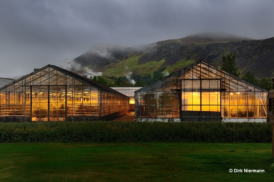 Greenhouses Hveragerði Iceland