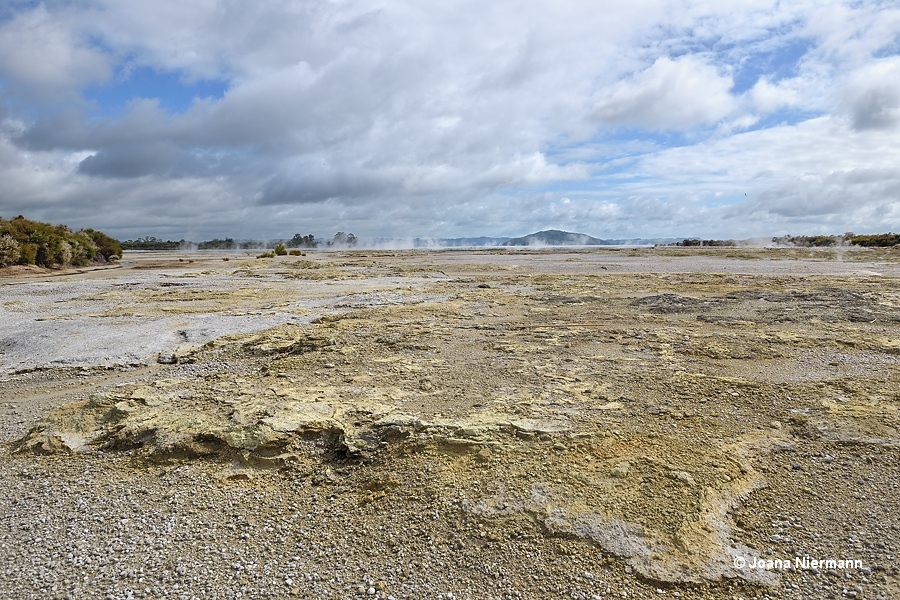 Te Arikiroa / Sulfur Flat