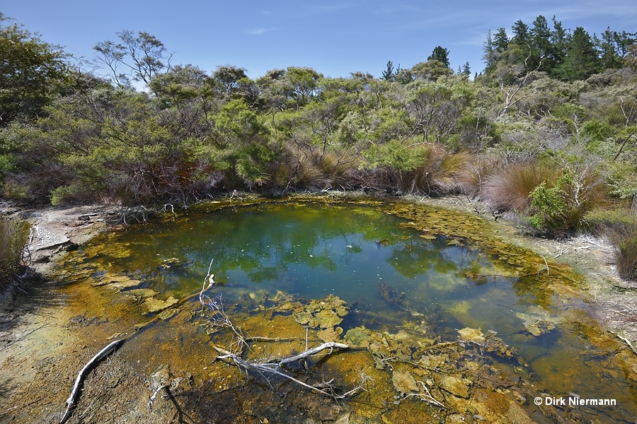 Te Paenga western pool