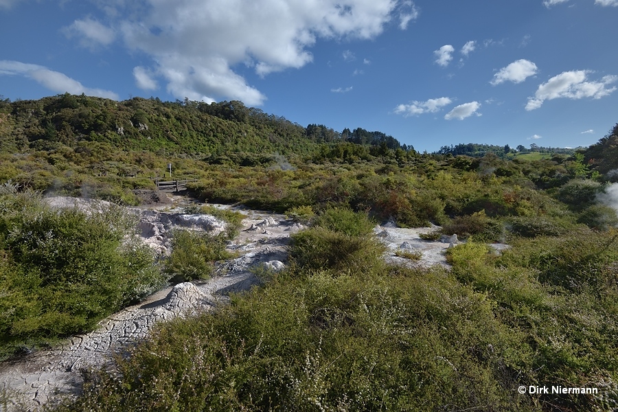 Ngāpuna tokatoru