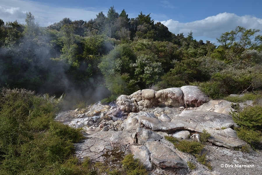 Papakura Geyser