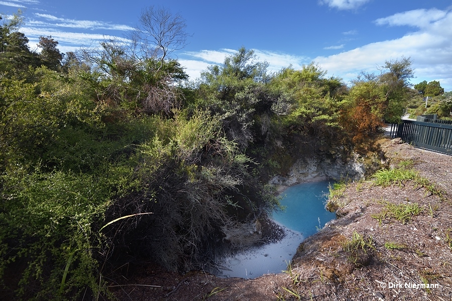 Te Werenga hot pool