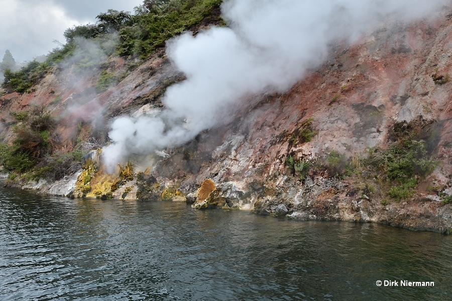 Angel Wings Geyser