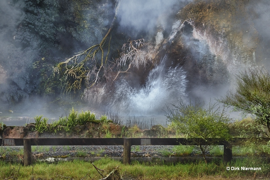 Iodine Geyser