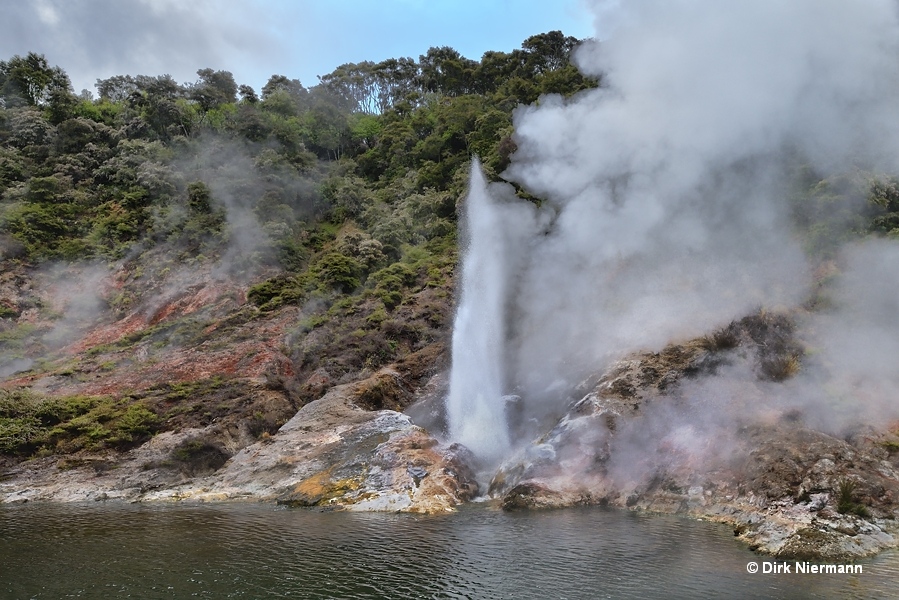 Pink Terrace Bay Geyser