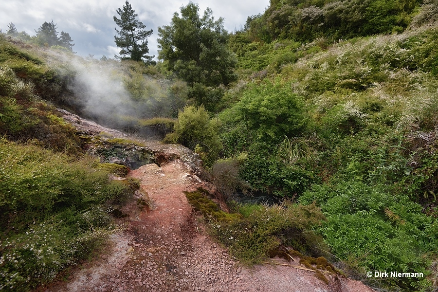 Fumarole at Wairakei Stream