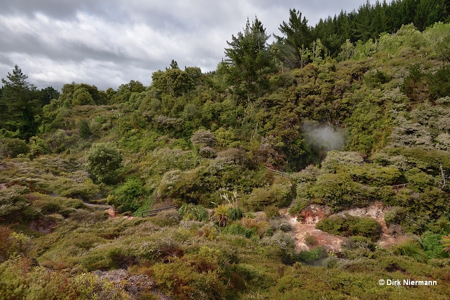 Southeast section of Geyser Valley