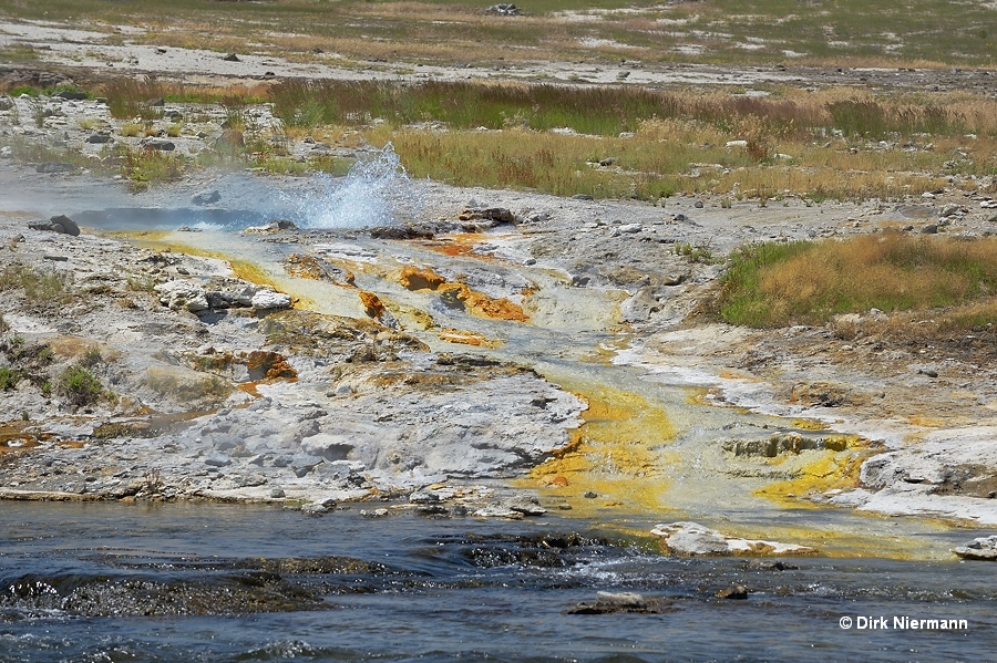 Salt and Pepper Geyser Yellowstone