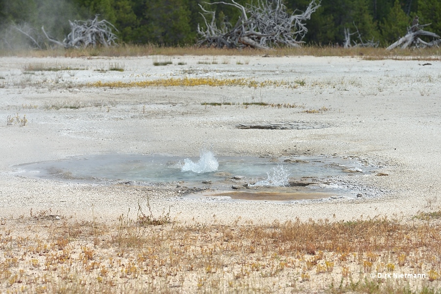 Sentry Geyser and Outpost Geyser Yellowstone