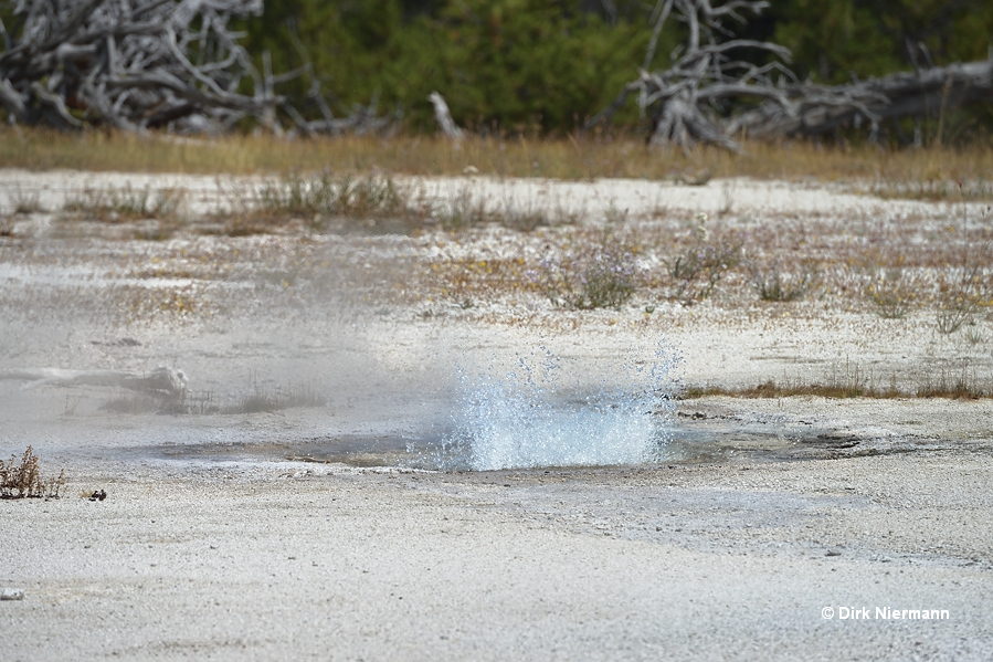 UNNG-BBG-12, Yellowstone