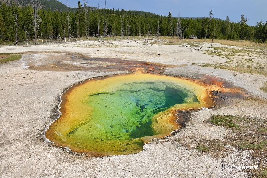 West Geyser on July 20<sup>th</sup>, 2024