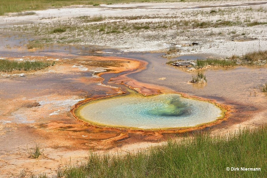 White Sand Spring Black Sand Basin Yellowstone