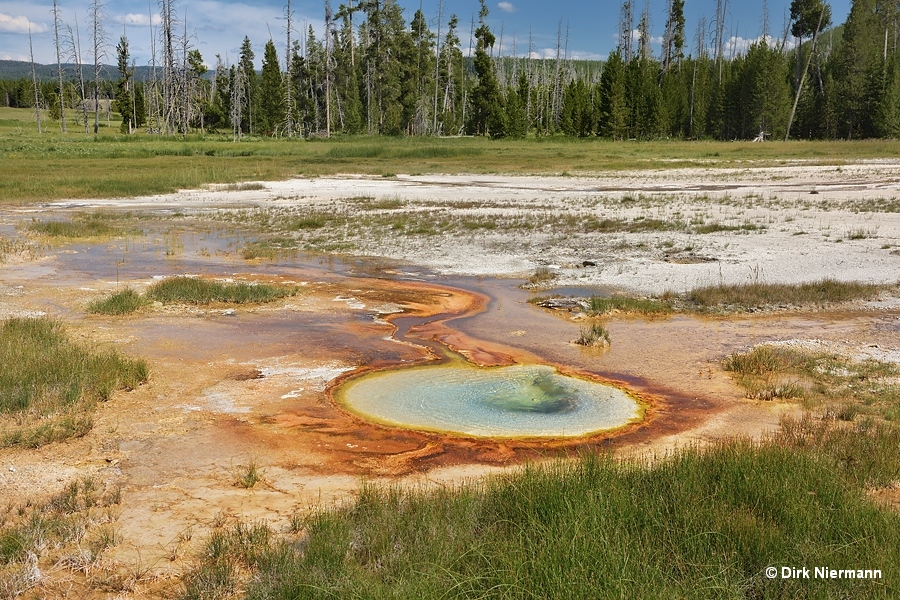 White Sand Spring Yellowstone
