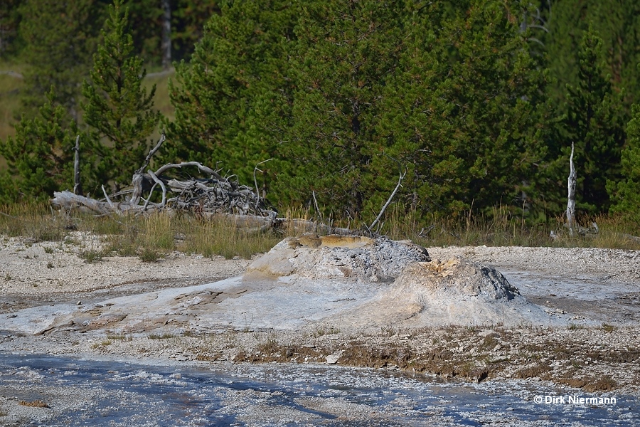 Atomizer Geyser Yellowstone