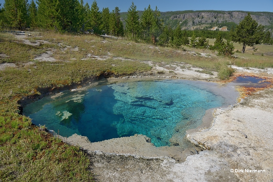 Blue Femur Spring Yellowstone