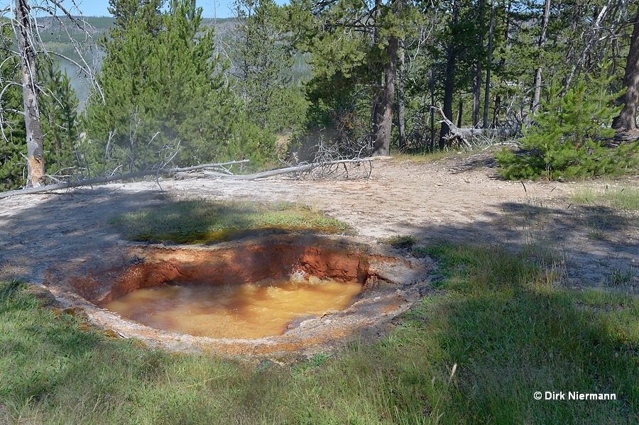 Spring next to Iron Spring Yellowstone