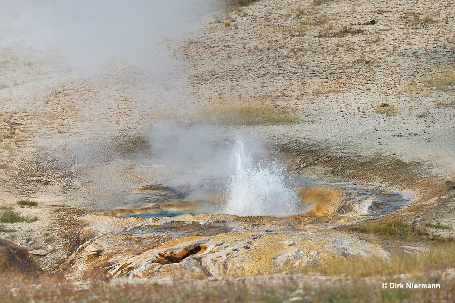Sprinkler Geyser Yellowstone