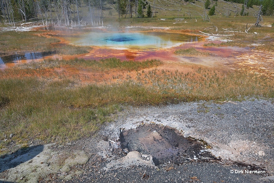 Persistent Spring, Chain Lakes Group, Yellowstone