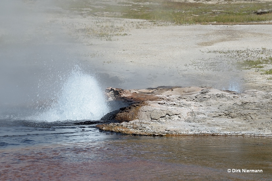Steady Geyser Yellowstone