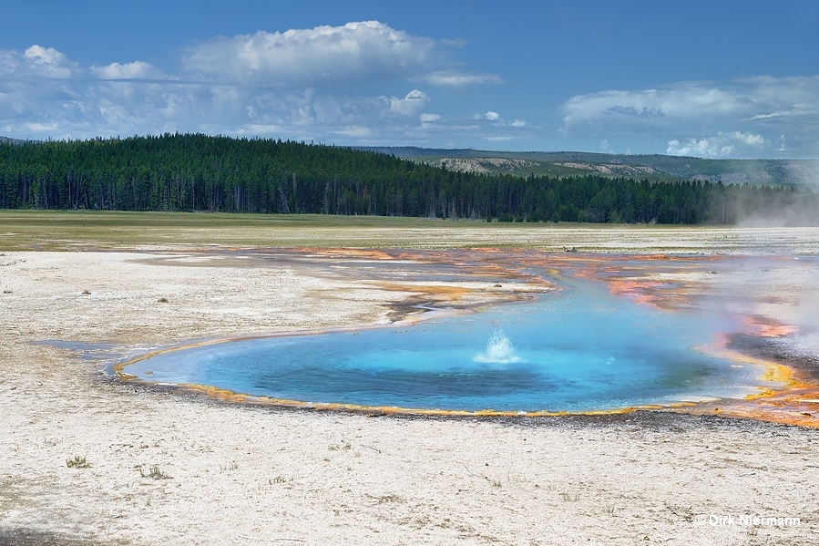 Celestine Pool Geyser Yellowstone