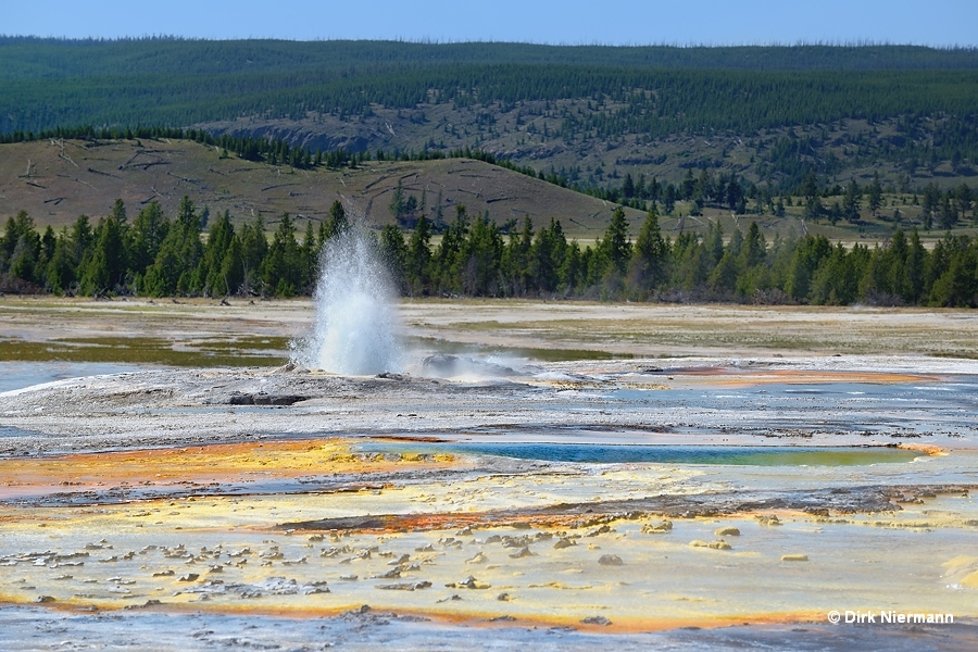 New Bellefontaine Geyser Yellowstone