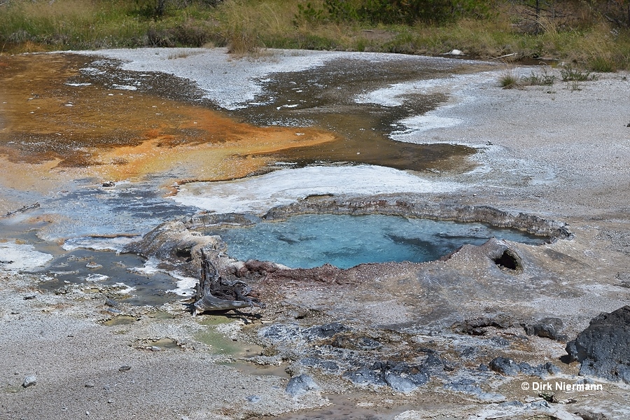 Bull's Eye Spring Yellowstone