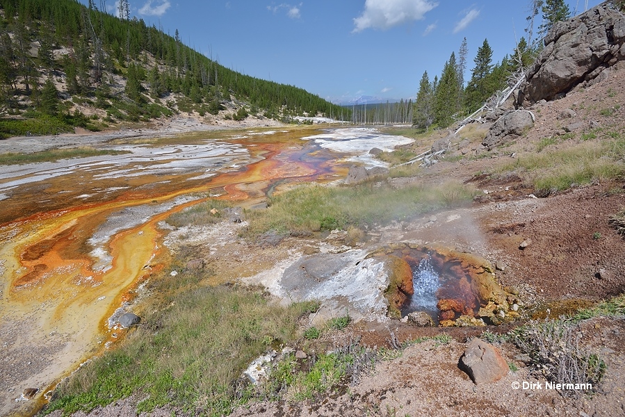 Geyser Springs Spouter Yellowstone