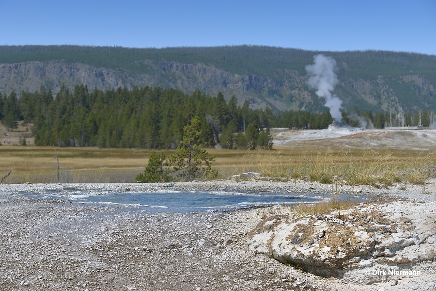 Arrowhead Spring Yellowstone