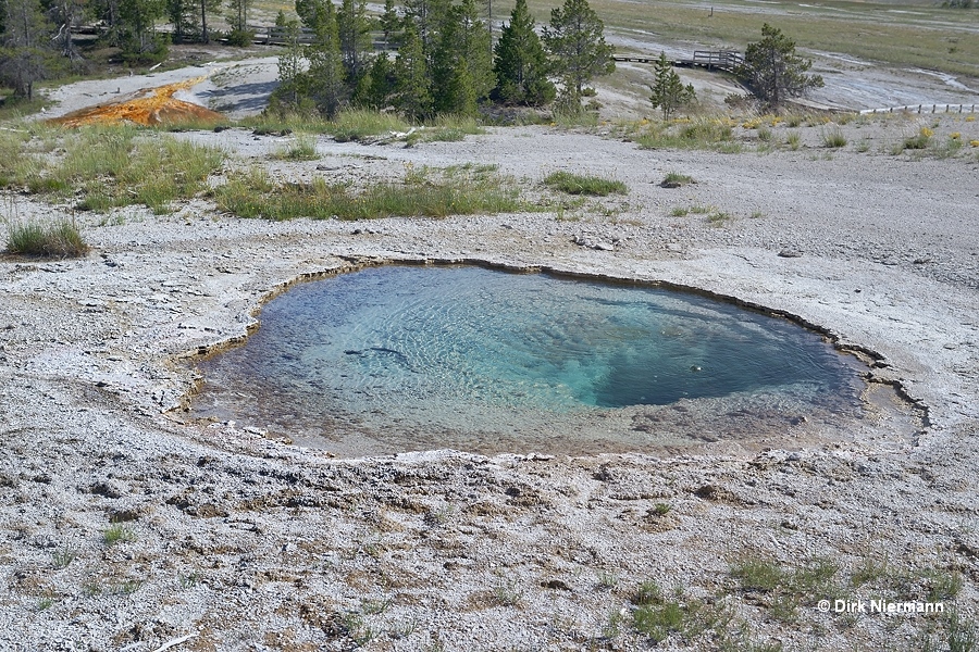 Bronze Spring Yellowstone