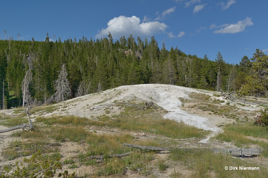 Dome Geyser Yellowstone