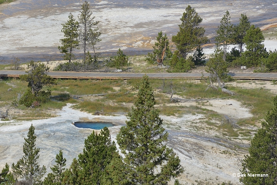 Dome Geyser Yellowstone