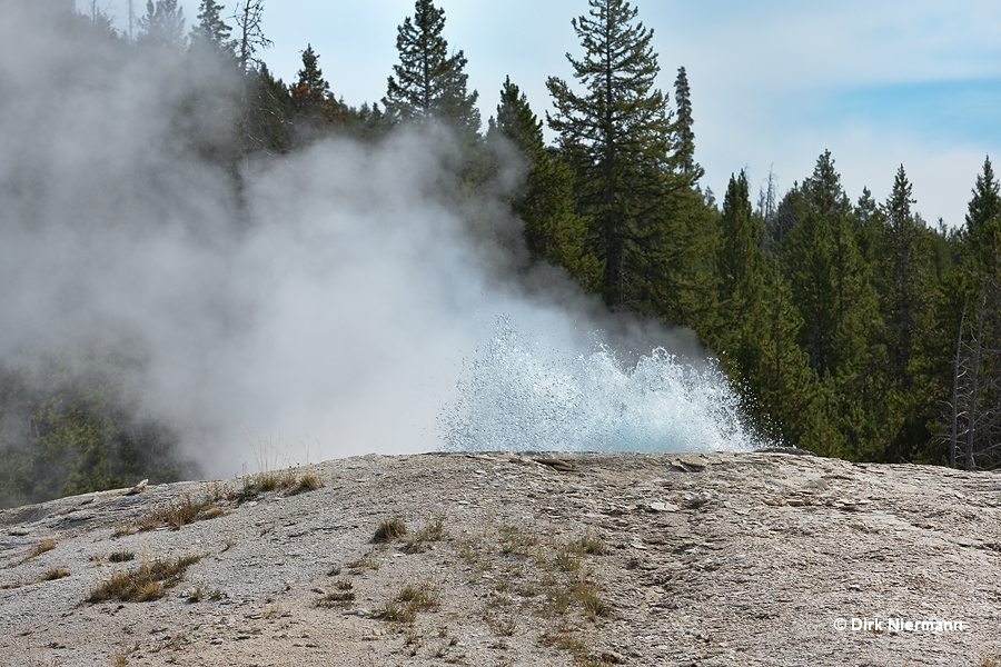 Dome Geyser Yellowstone