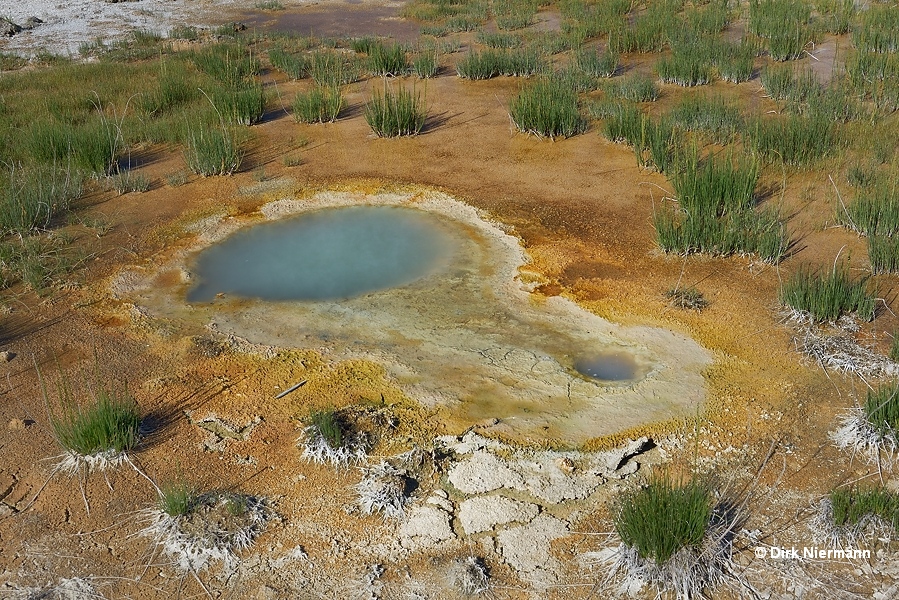Unnamed spring north of Doublet Pool Yellowstone