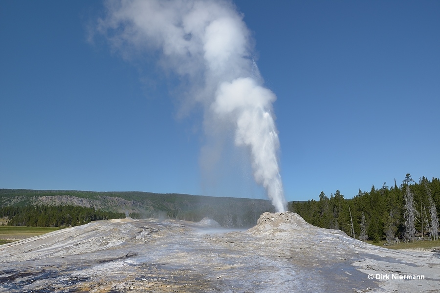 Lion Geyser Yellowstone