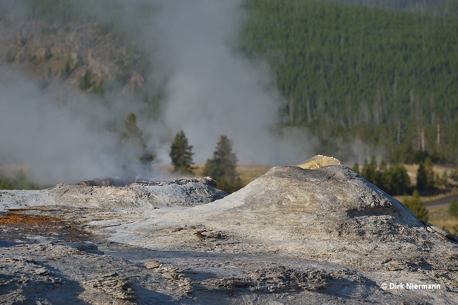 Lioness Geyser and Big Cub Geyser Yellowstone