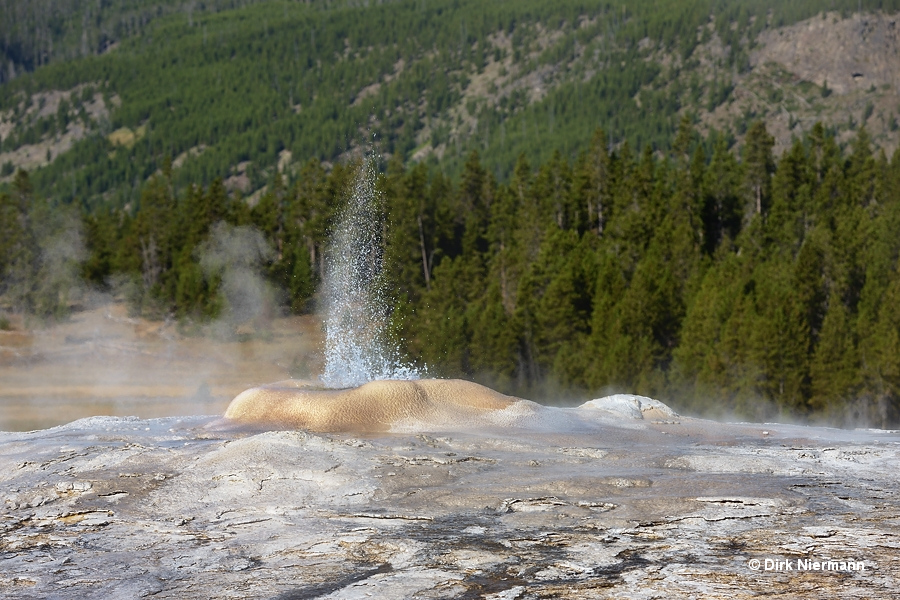 Little Cub Geyser Yellowstone