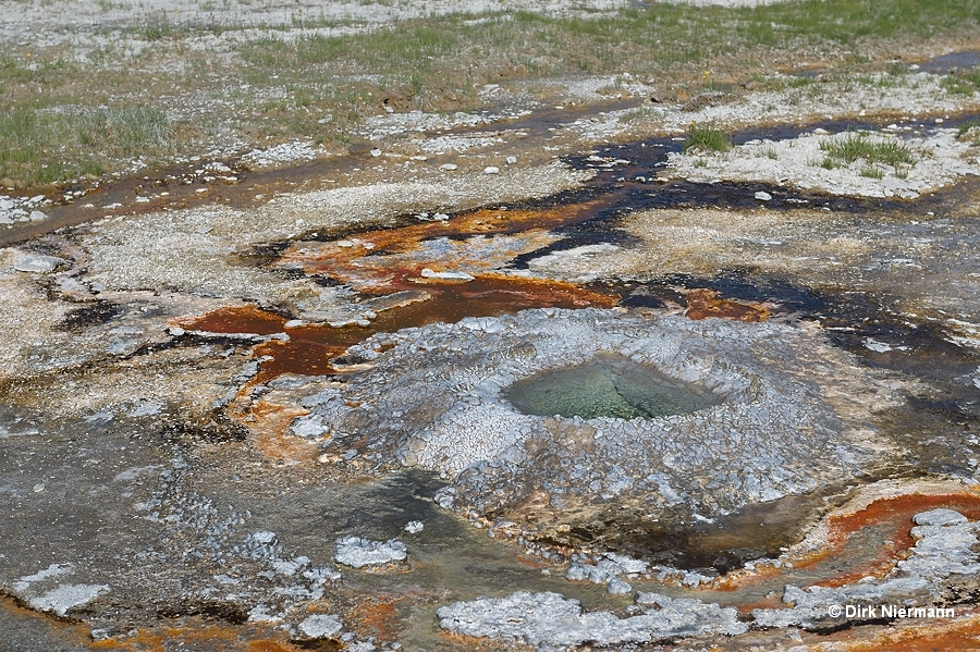 North Goggles Geyser Yellowstone