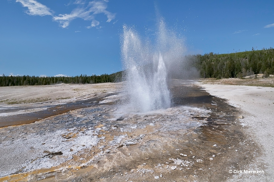 Plume Geyser Yellowstone