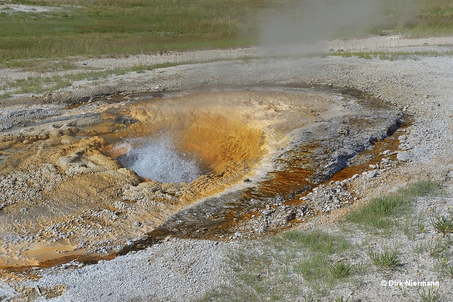 Pump Geyser Yellowstone