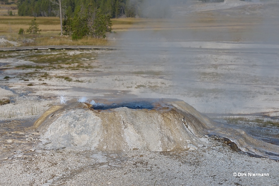 Sponge Geyser Yellowstone