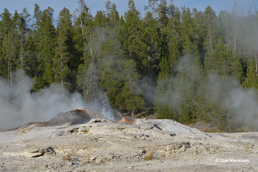 Bijou Geyser and Catfish Geyser Yellowstone