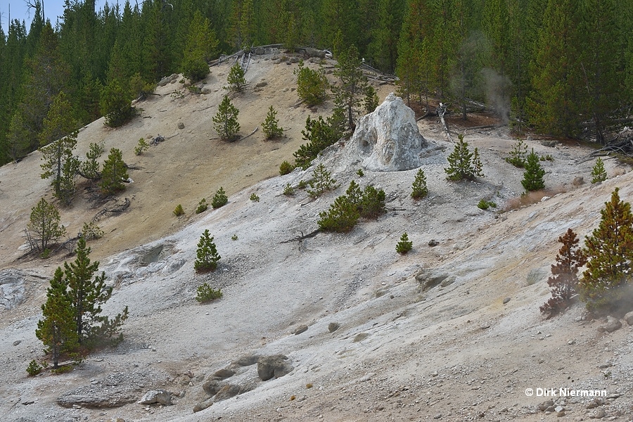 Monument Geyser Basin Yellowstone