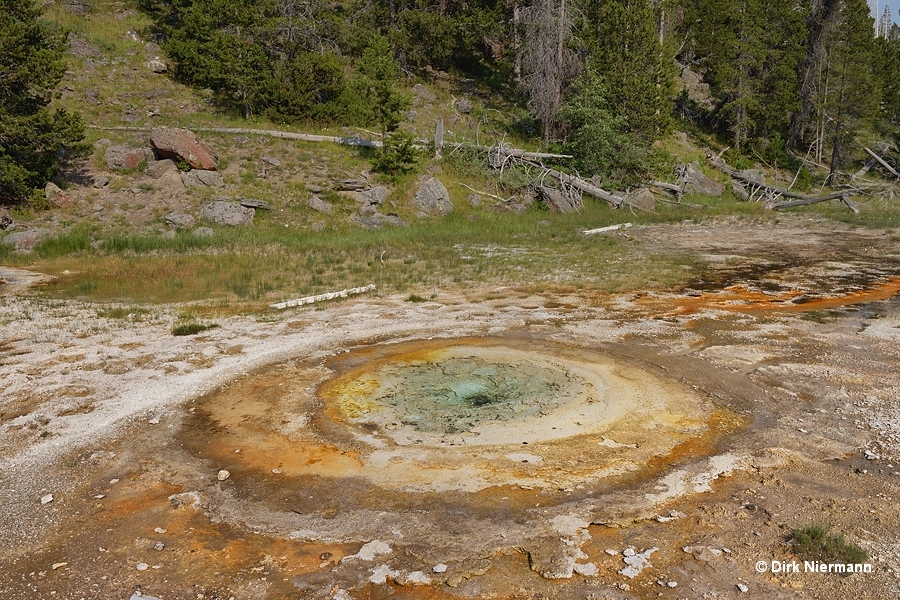 Economic Geyser Yellowstone
