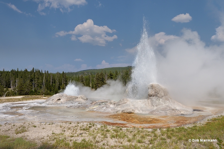 Grotto Geyser and Rocket Geyser Yellowstone