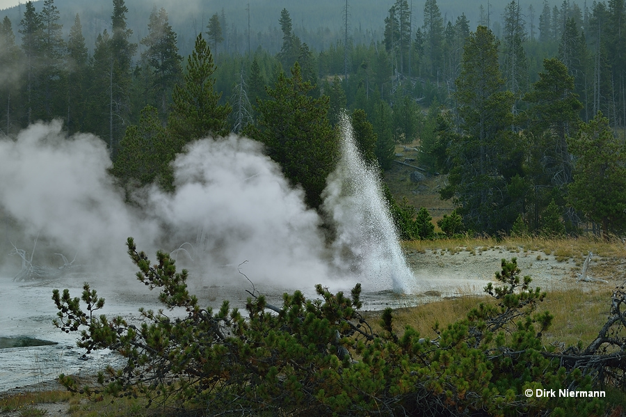 South Grotto Fountain Geyser Yellowstone