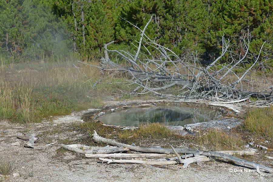 UGGNN007 Yellowstone