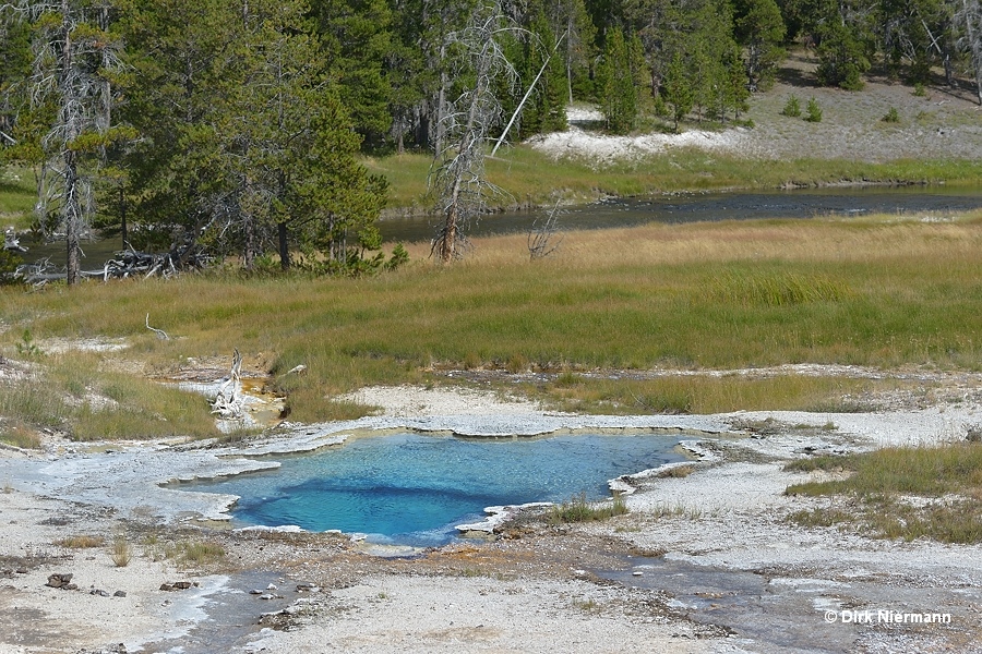 Variable Spring Yellowstone