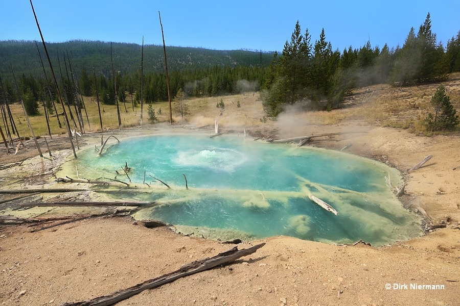 Steam from Dante's Inferno: Sylvan Springs, Yellowstone National Park,  Wyoming