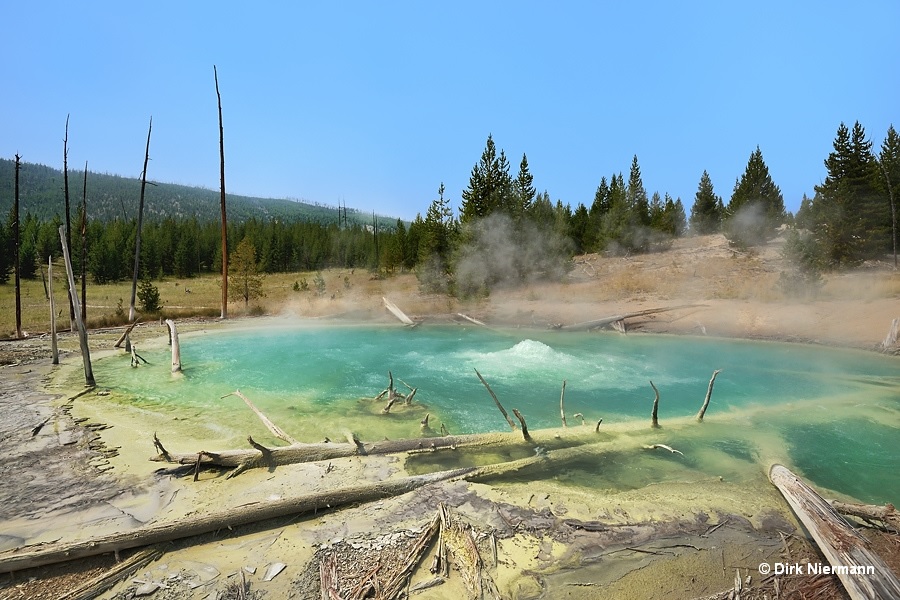 Steam from Dante's Inferno: Sylvan Springs, Yellowstone National Park,  Wyoming