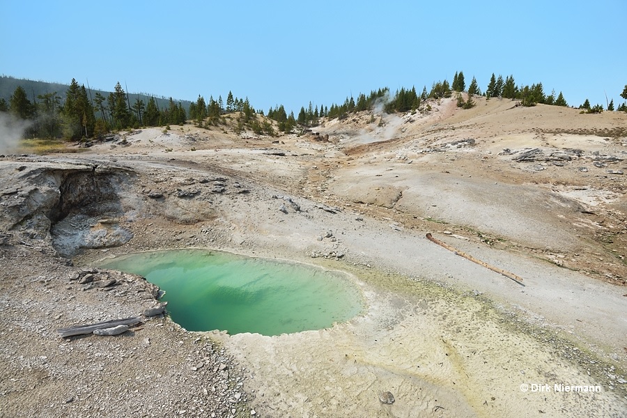 Steam from Dante's Inferno: Sylvan Springs, Yellowstone National Park,  Wyoming